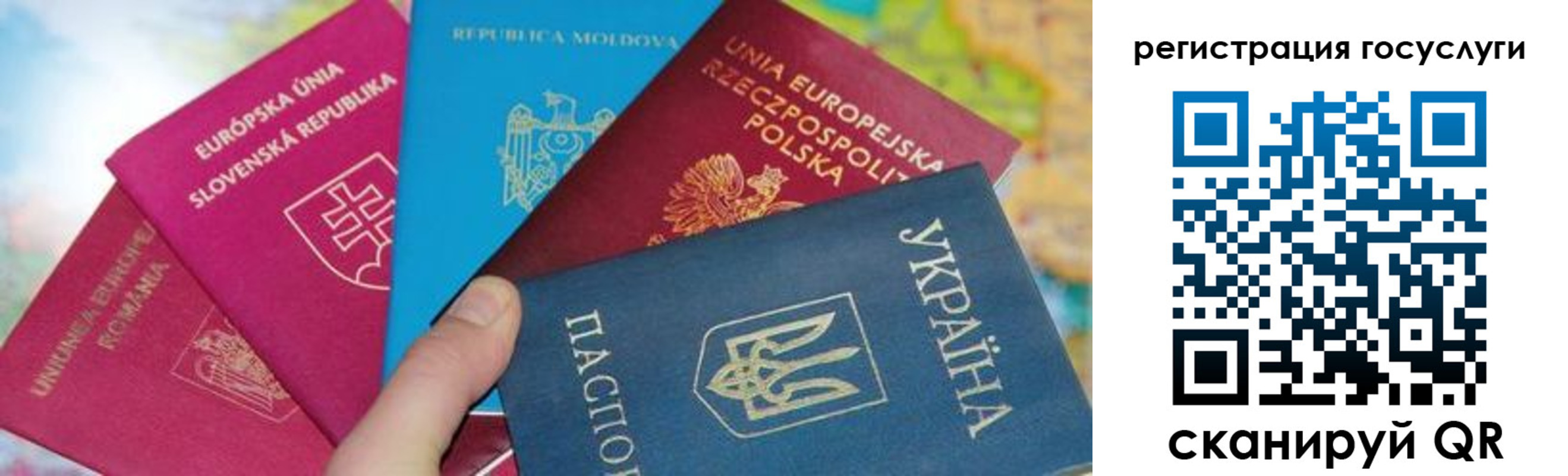 прописка гарантия в Порхове